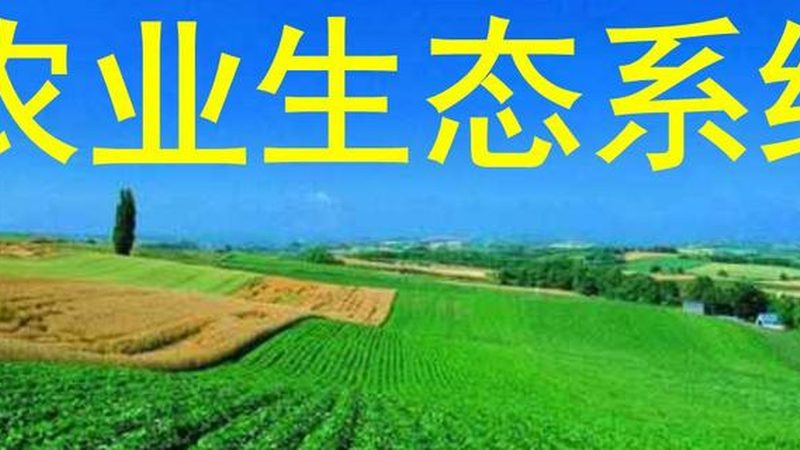 采摘园选址：如何打造高效生态农业基地**