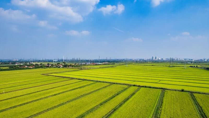 生鲜农产品B2B平台对比