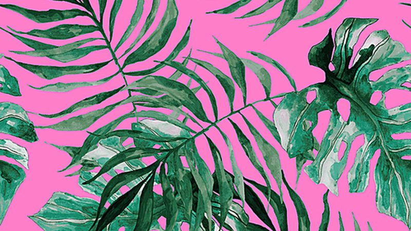 农业种植机械：价格之外，你还需要了解这些
