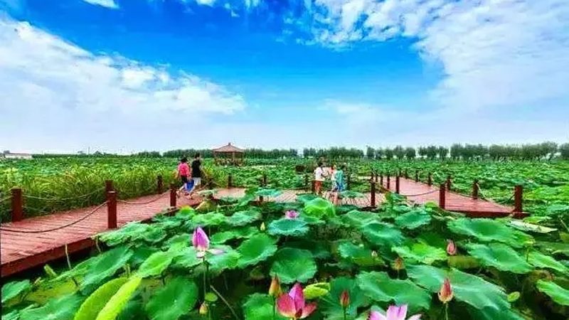 农民专业合作社注销流程全解析