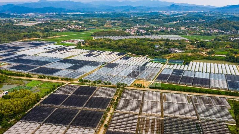 阿克苏苹果种植：气候条件解析与种植要点