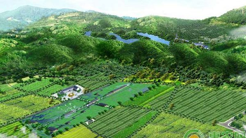 水果种植土壤排水要求：如何确保果实品质与产量