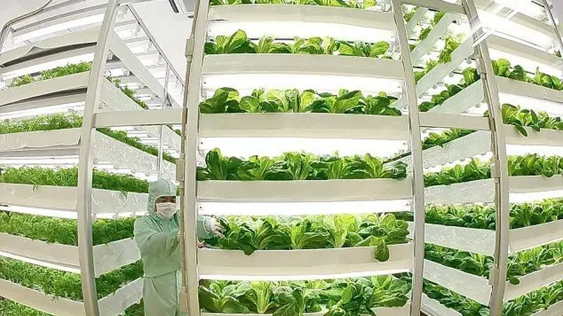 农业标准化项目申报：别让材料卡在“理解偏差”上