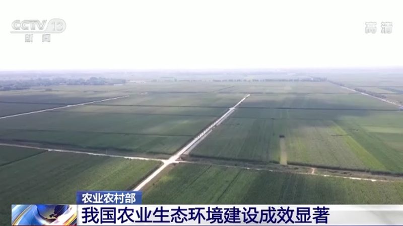 绿色食品认证标识：收费标准背后的考量