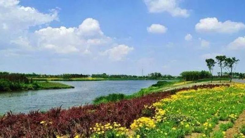 现代农业产业园建设：方案规划与报价解析**