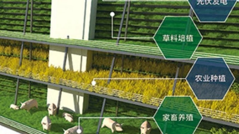 有机种植土壤改良，揭秘土壤健康密码