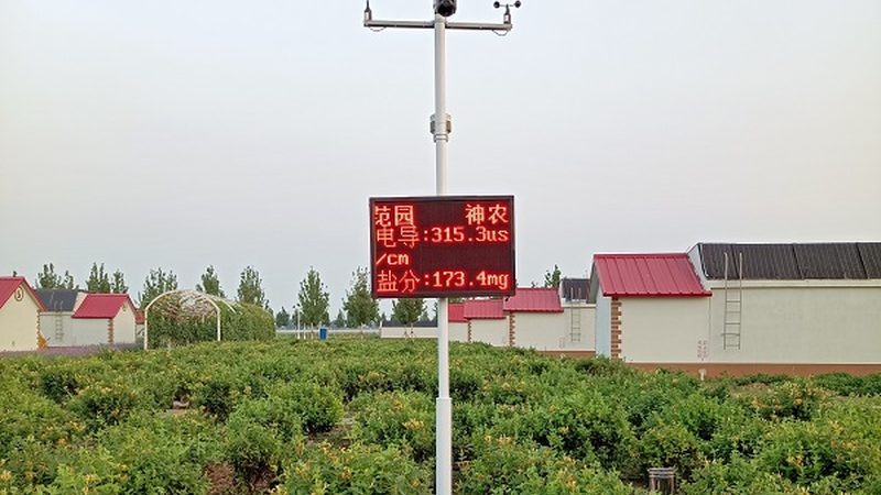 设施农业，现代农业的“绿色引擎