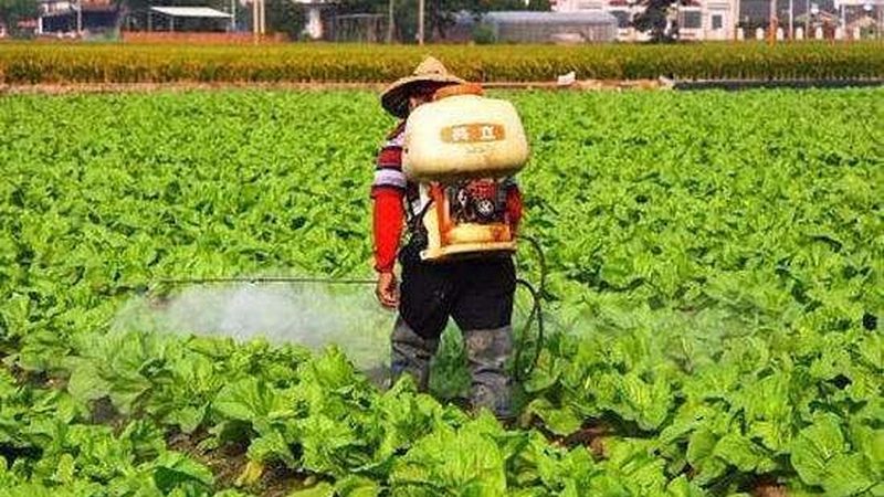 粮食种植补贴政策文件号揭秘：了解补贴背后的秘密