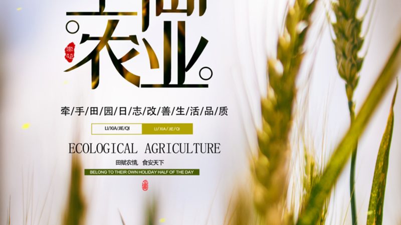 上海农产品电商平台推荐