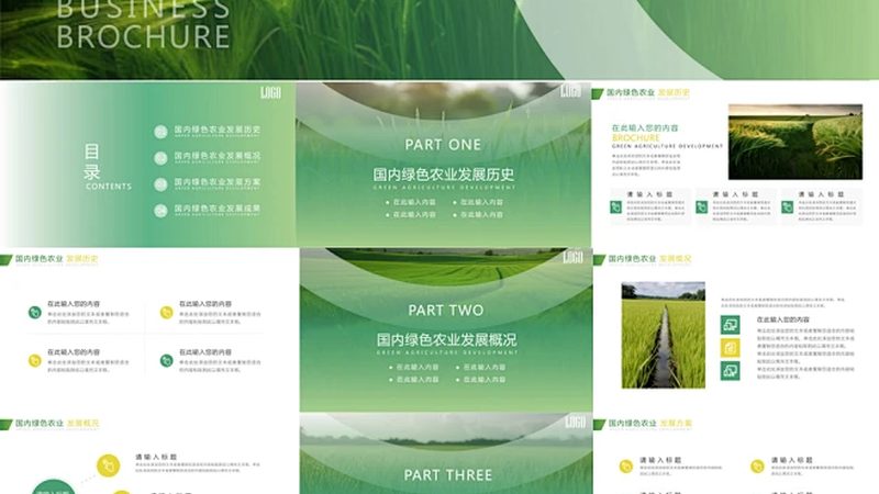 北京绿色食品公司资质揭秘：标准解读与认证要点